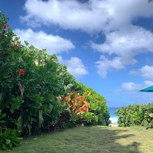 Meet your Posher, Camilla